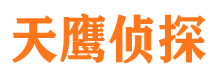 大宁市侦探调查公司